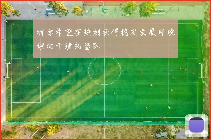 特尔希望在热刺获得稳定发展环境倾向于续约留队